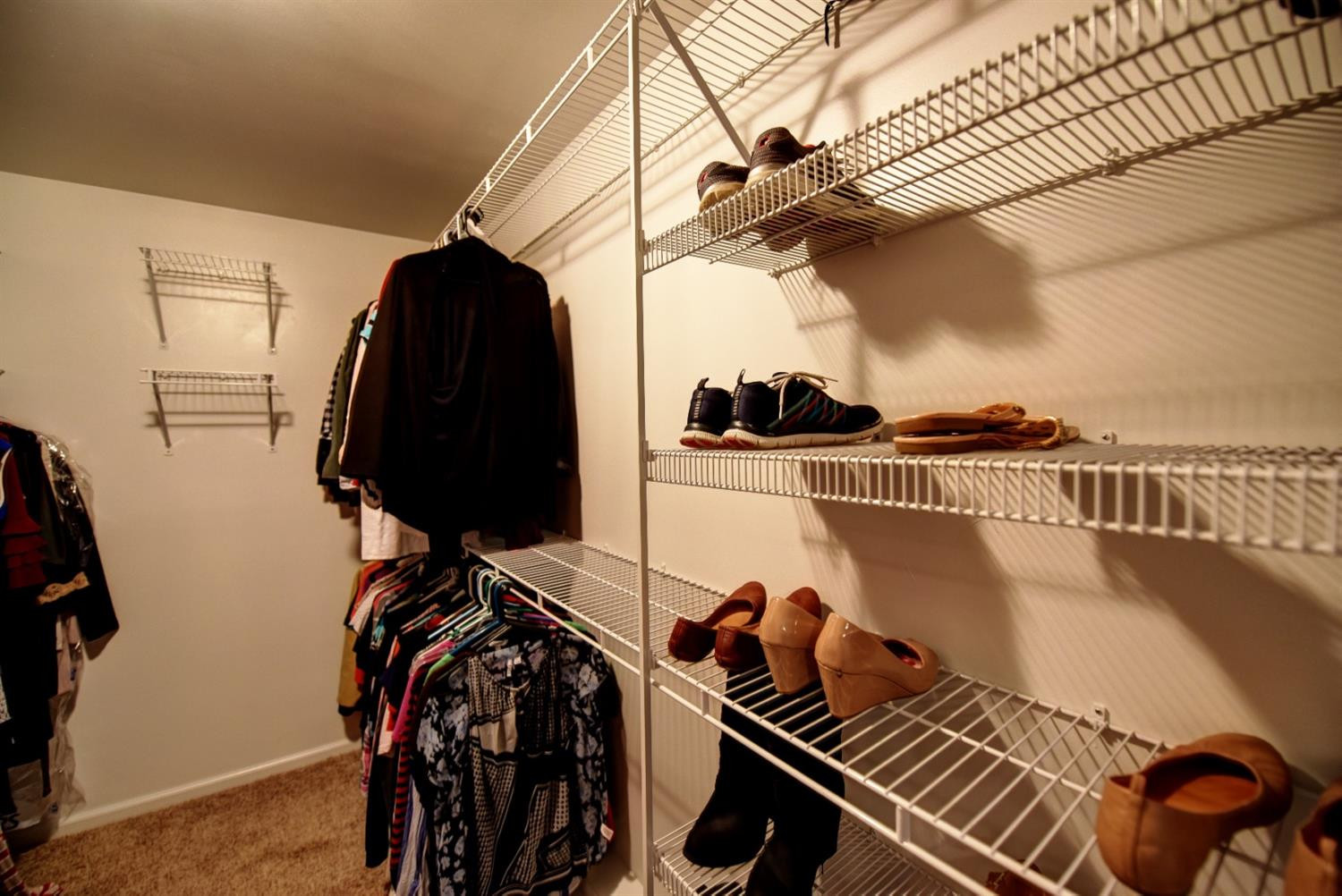 195 Old Coach Road Nicholasville, KY 40356 - Photo 20 of 34 Master walk-in closet