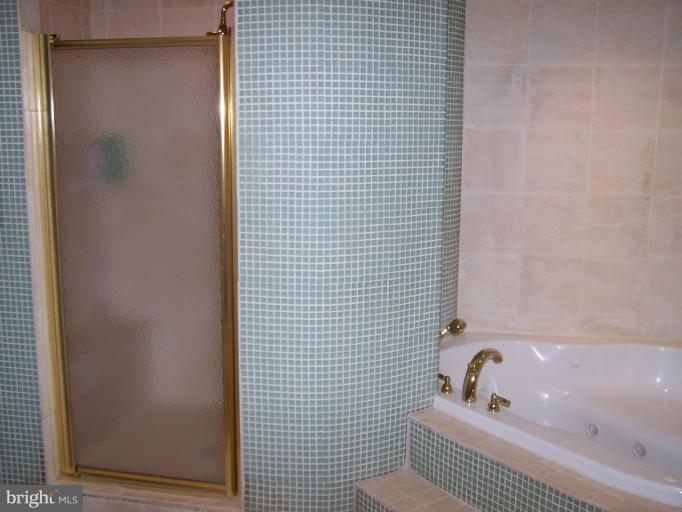 2534 Babcock Road Vienna, VA 22181 - Photo 5 of 30 Bath (Master)