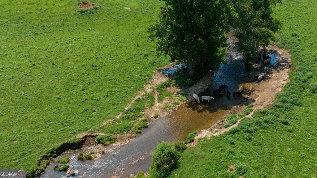51.20-ac Bethabara Road Hayesville, NC 28904 - Photo 6 of 14 Gallery Image 6