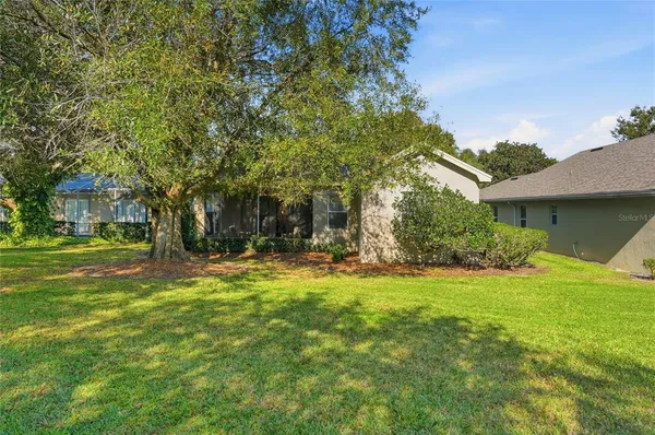 a view of outdoor space with trees all around