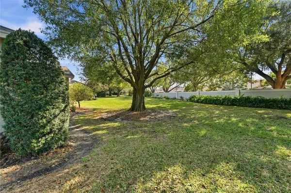 a backyard of a house with lots of green space