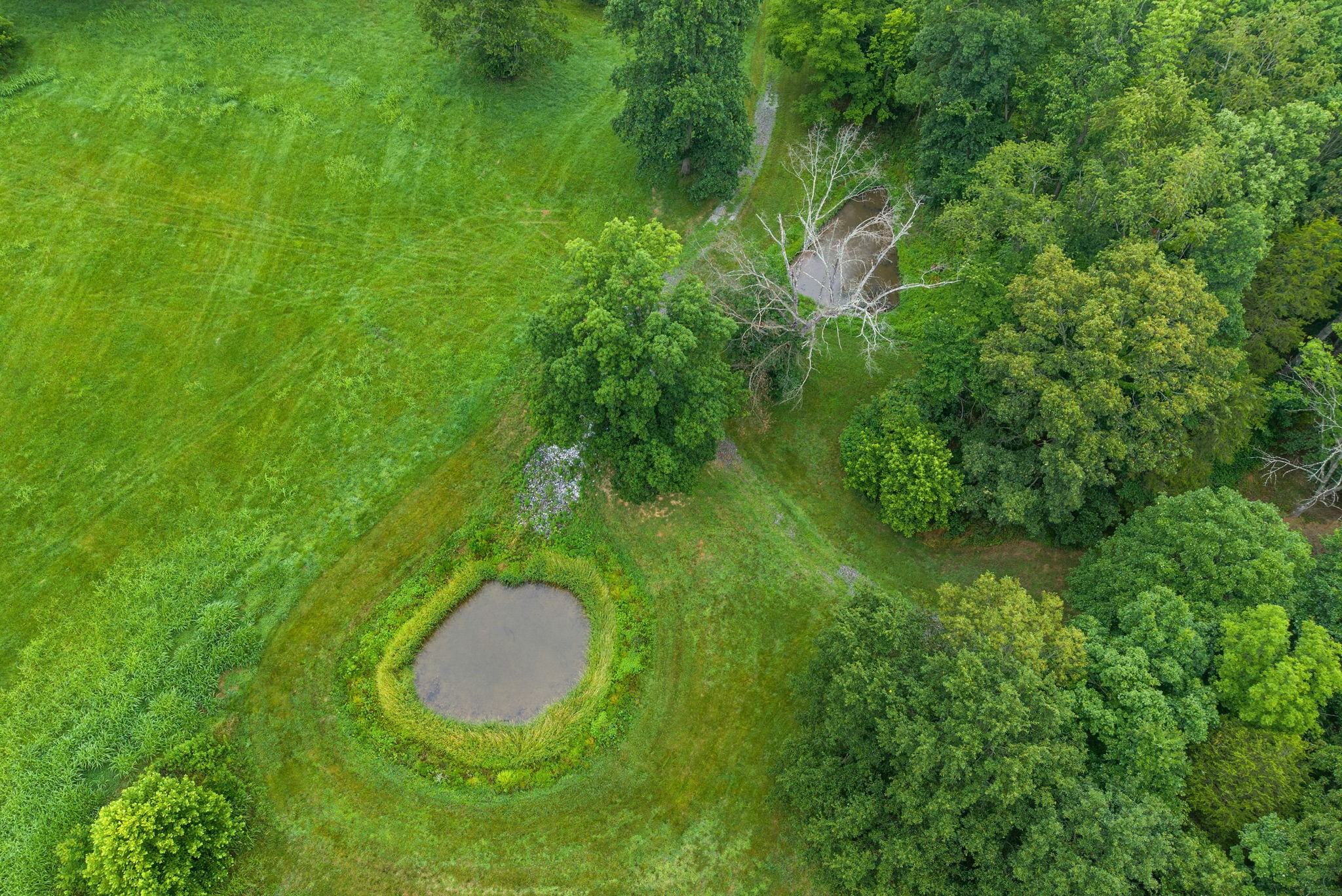 1855 Kings Chapel Road Cadiz, KY 42211 - Photo 85 of 87