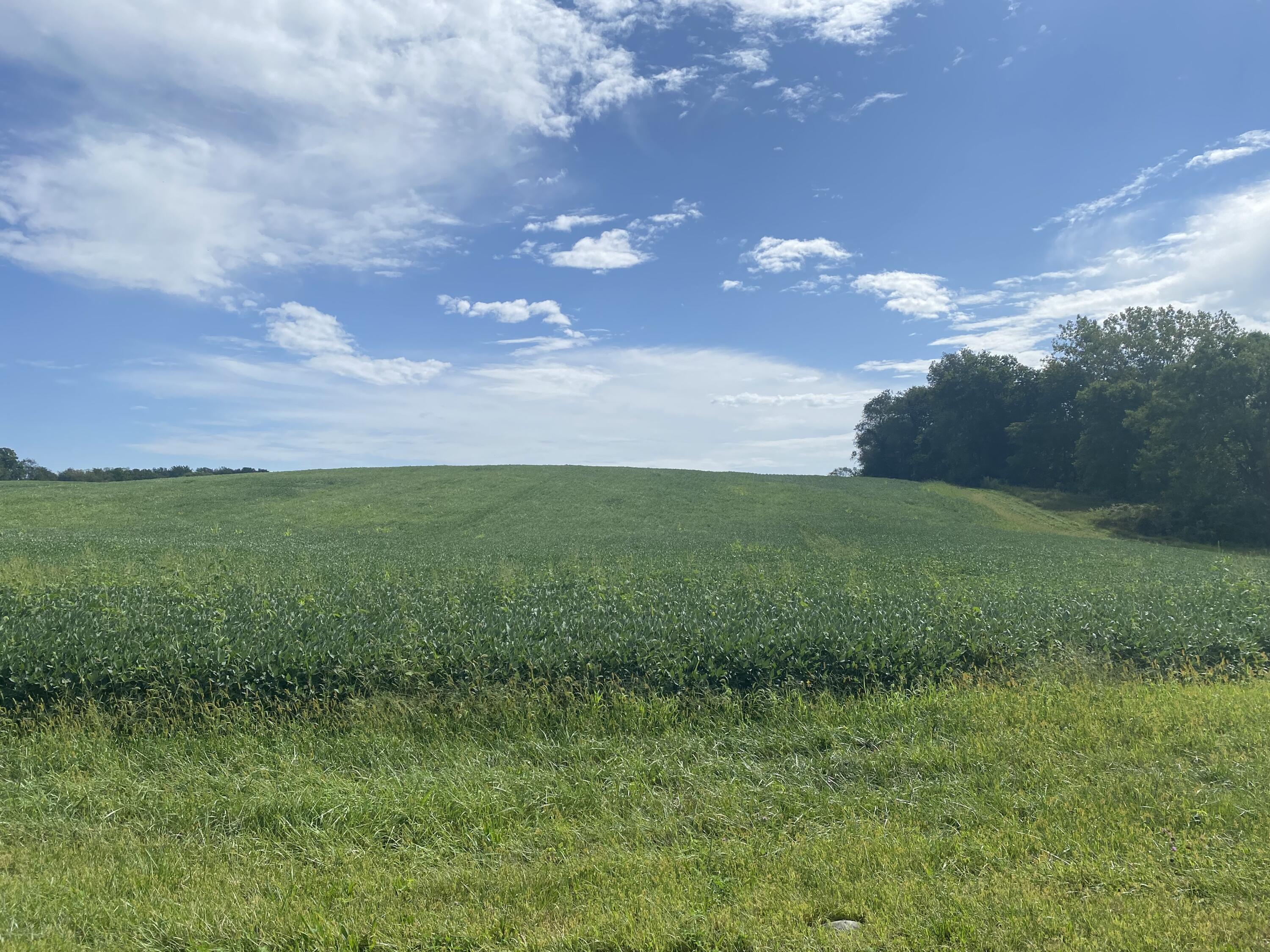 0 T R 188 West Liberty, OH 43357 - Photo 1 of 6