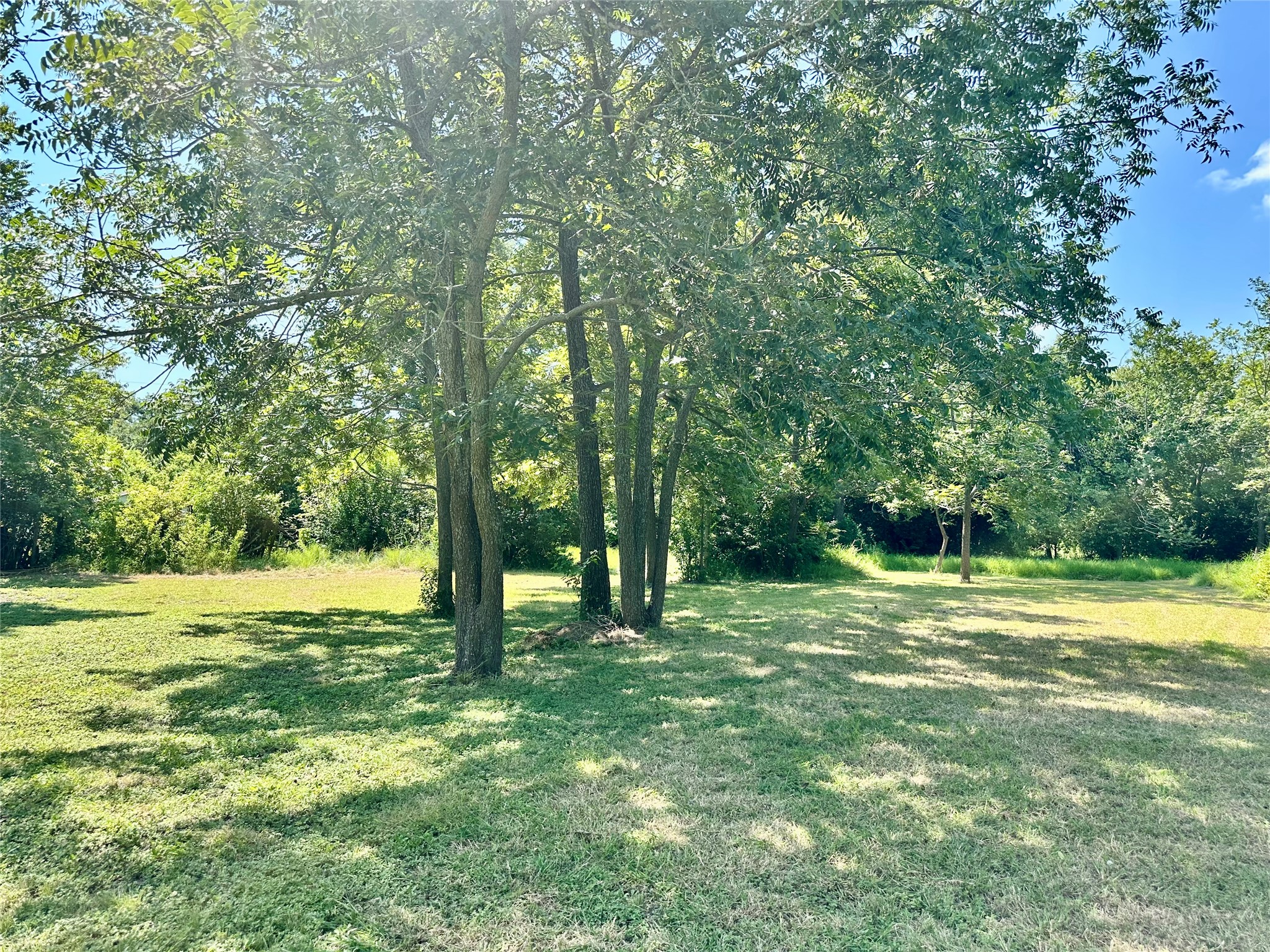 1007 South 18th Street Temple, TX 76501 - Photo 8 of 9 a view of outdoor space with trees all around