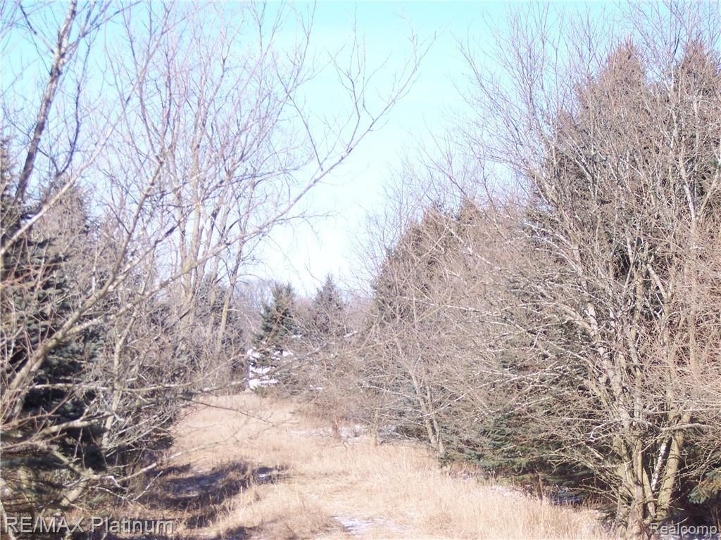 Parcel A Bell Oak Road Webberville, MI 48892 - Photo 15 of 48
