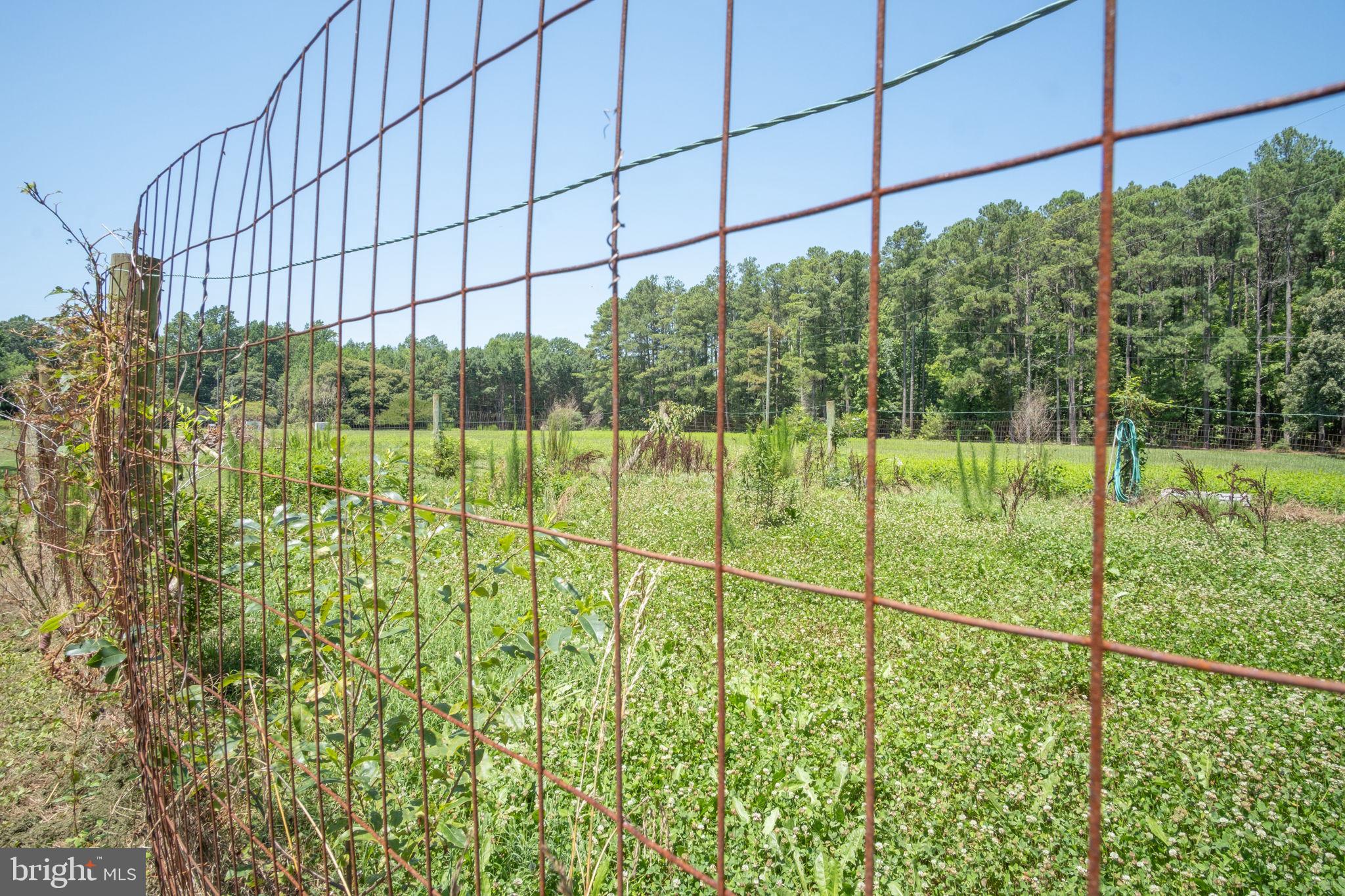 1067 Level Green Road Lancaster, VA 22503 - Photo 62 of 80