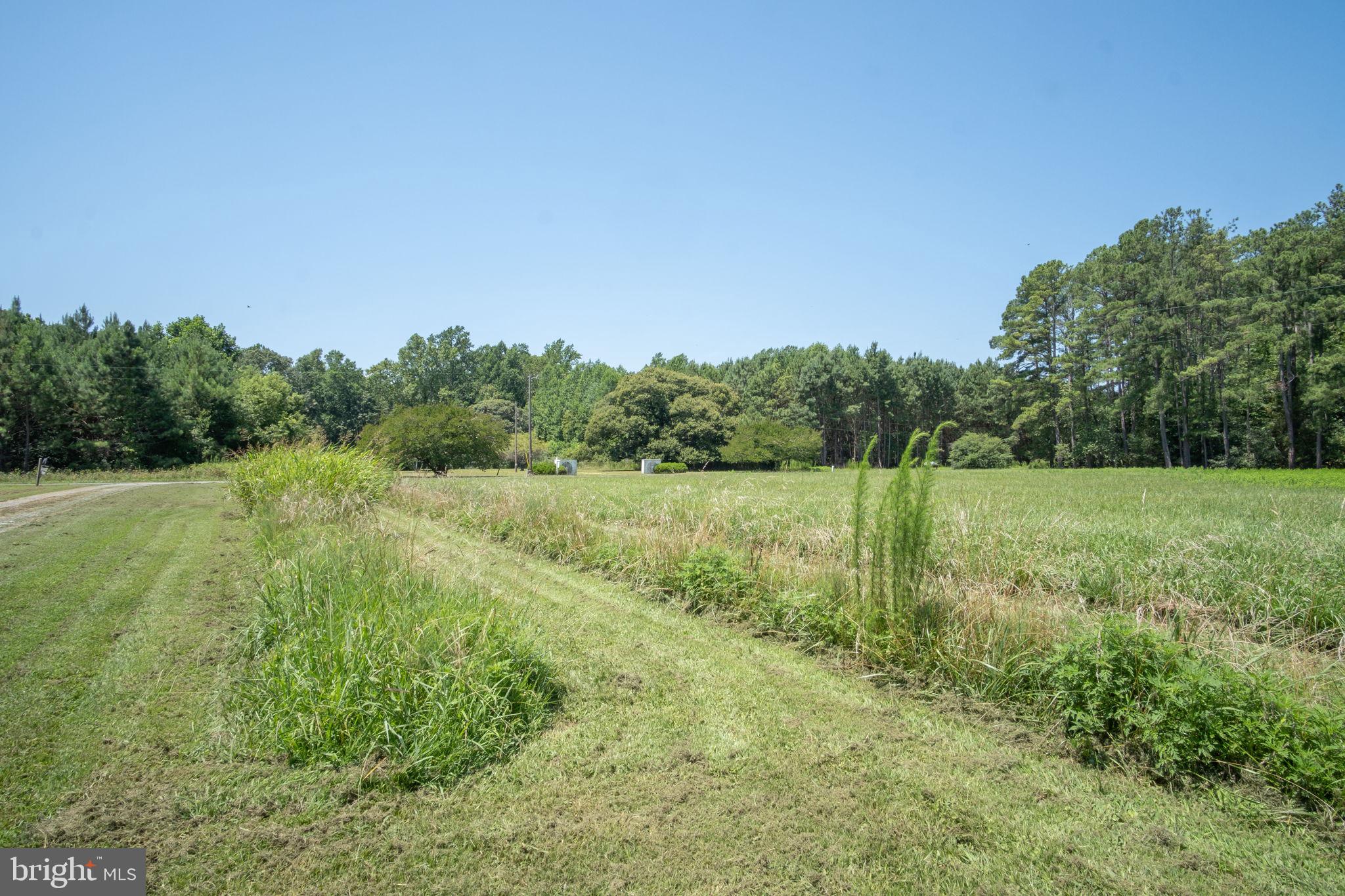 1067 Level Green Road Lancaster, VA 22503 - Photo 63 of 80 Asparagus Garden