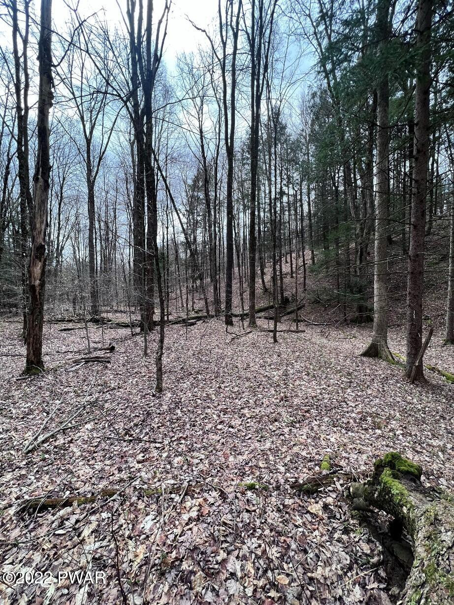 104 Memorial Links Road Pleasant Mount, PA 18453 - Photo 11 of 14