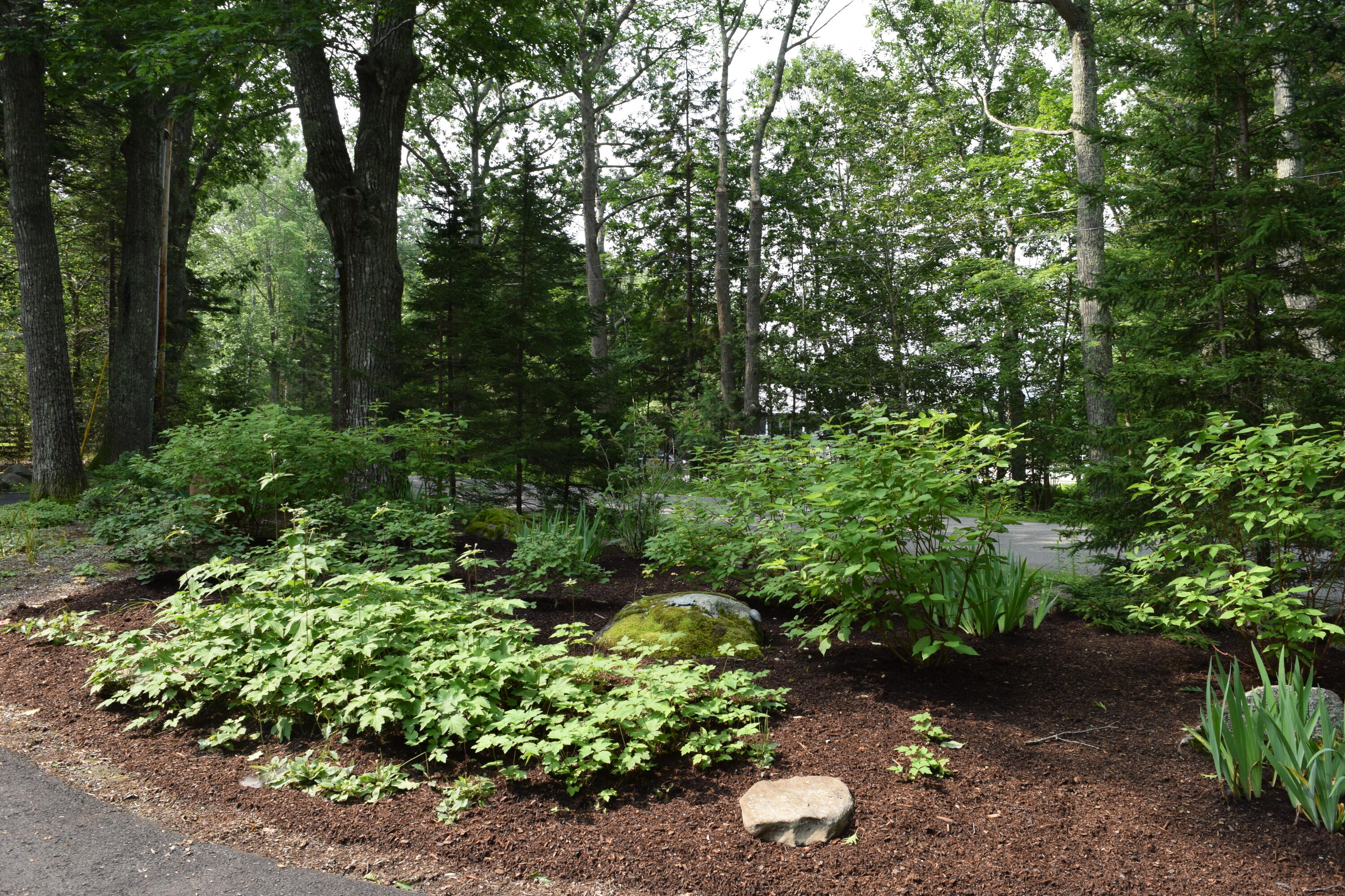 560 Bluff Road Northport, ME 04849 - Photo 5 of 42 DSC_0861