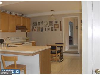 3 Aunt Molly Road Hopewell, NJ 08525 - Photo 7 of 12 Kitchen