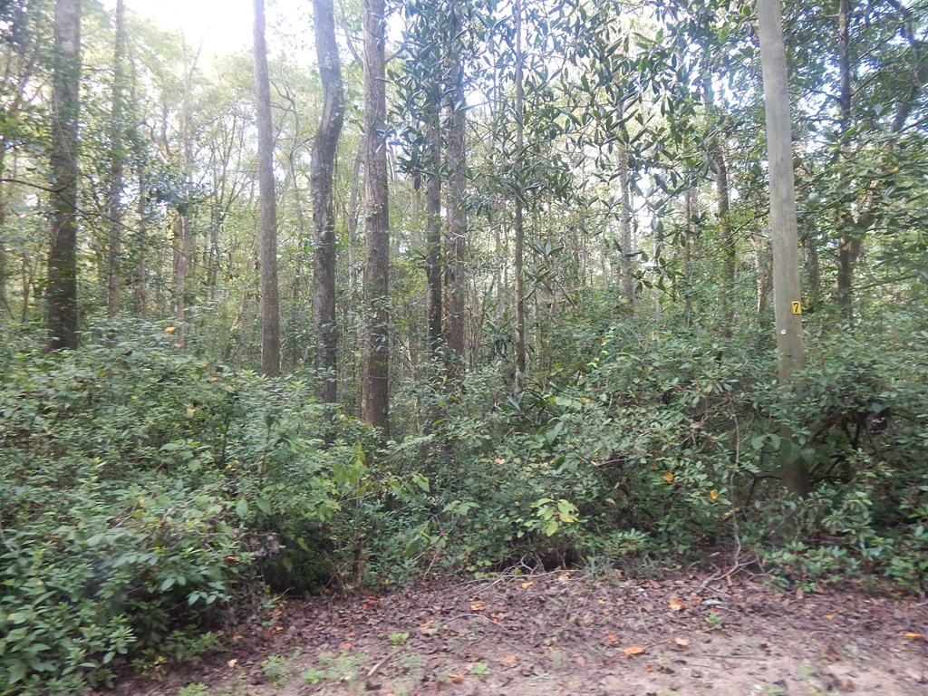 8 Belle Oak Road Dothan, AL 36303 - Photo 4 of 5