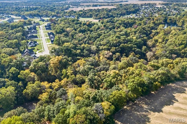 $1,900,000 | 115 Cobblestone Hill, O'Fallon, IL 62269