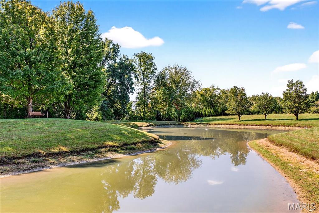 115 Cobblestone Hill O'Fallon, IL 62269 - Photo 86 of 90