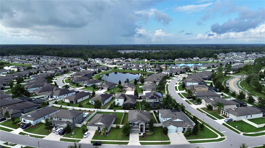 19065 Malinche Loop Spring Hill, FL 34610 - Photo 69 of 72