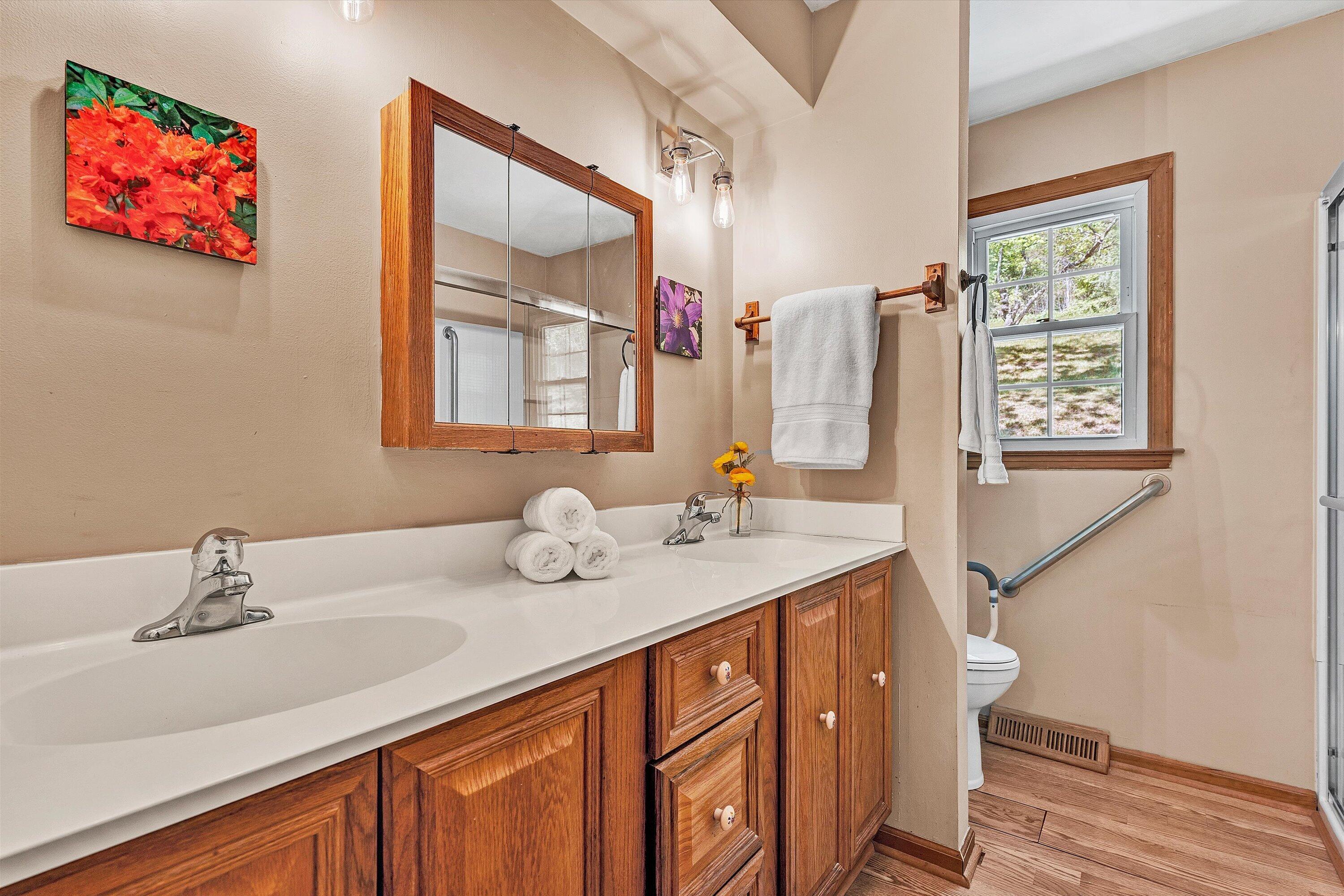 133 Kelsey Way Fincastle, VA 24090 - Photo 22 of 58 a bathroom with a double vanity sink mirror and a
