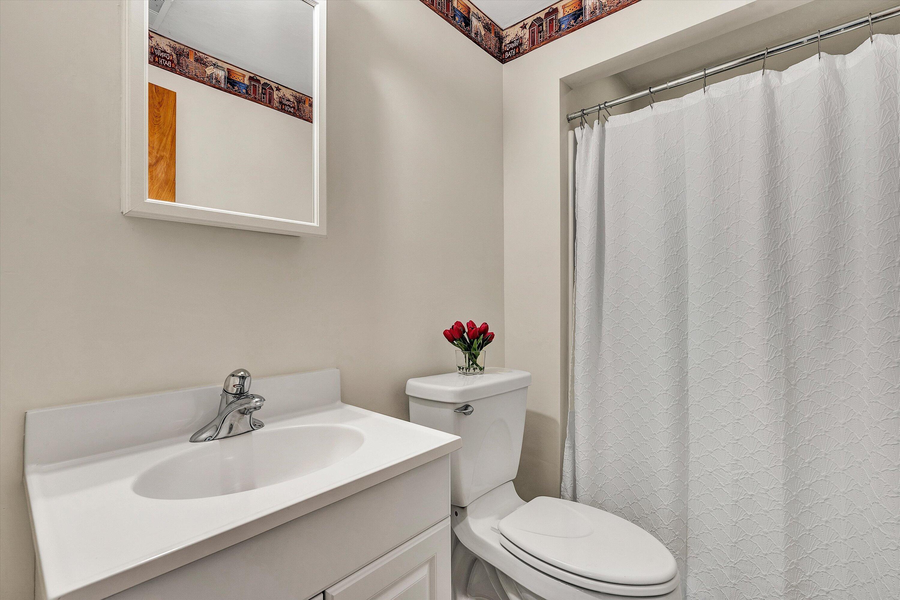 133 Kelsey Way Fincastle, VA 24090 - Photo 31 of 58 a bathroom with a sink a toilet and a mirror