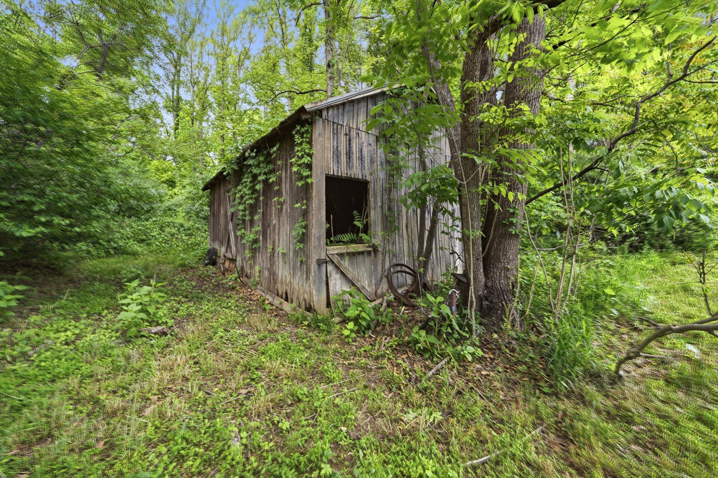 133 Kelsey Way Fincastle, VA 24090 - Photo 46 of 58 a backyard of a house with seating space