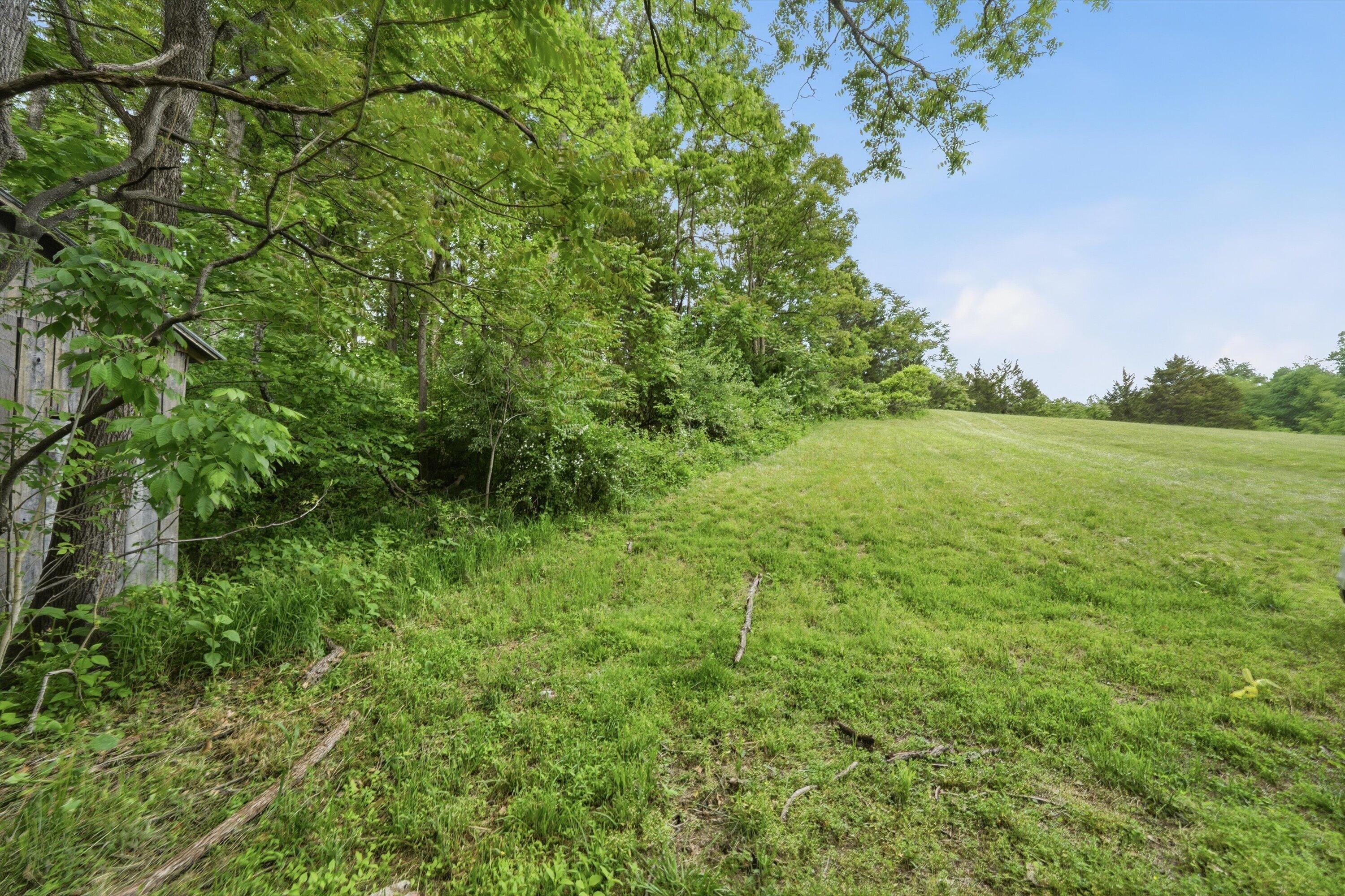 133 Kelsey Way Fincastle, VA 24090 - Photo 51 of 58 a view of an outdoor space and a yard