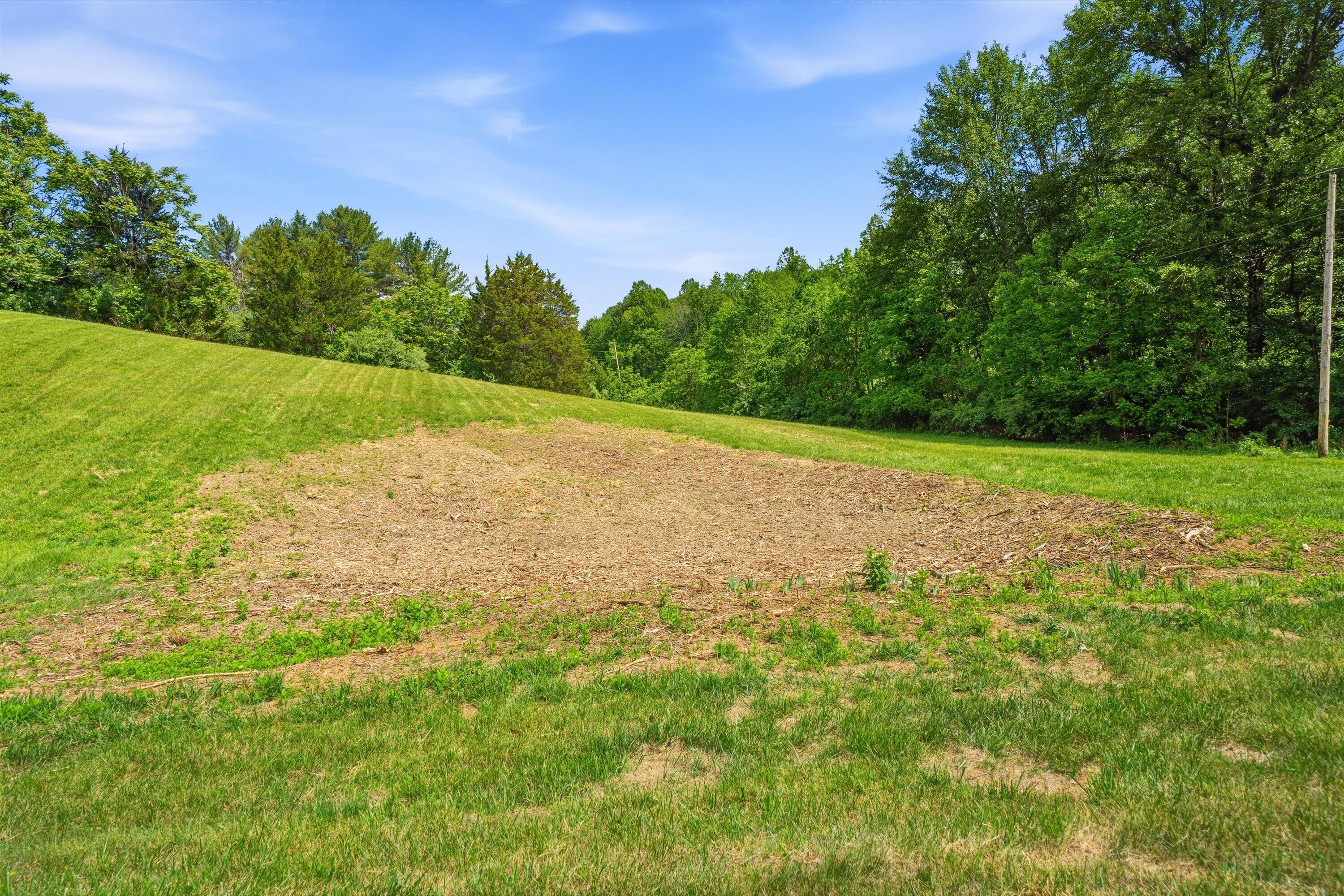 133 Kelsey Way Fincastle, VA 24090 - Photo 54 of 58 a view of a field with an trees