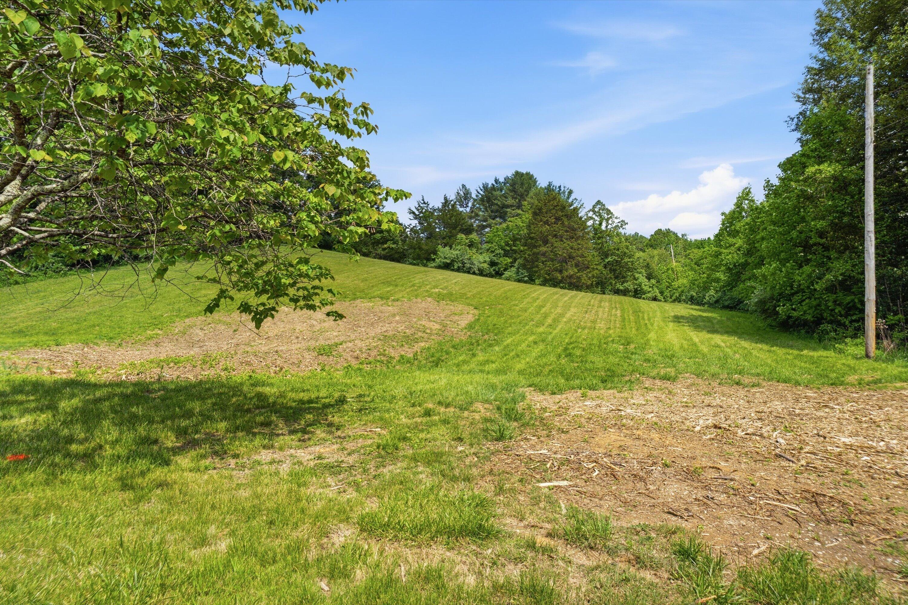 133 Kelsey Way Fincastle, VA 24090 - Photo 55 of 58 a view of a lake with a yard