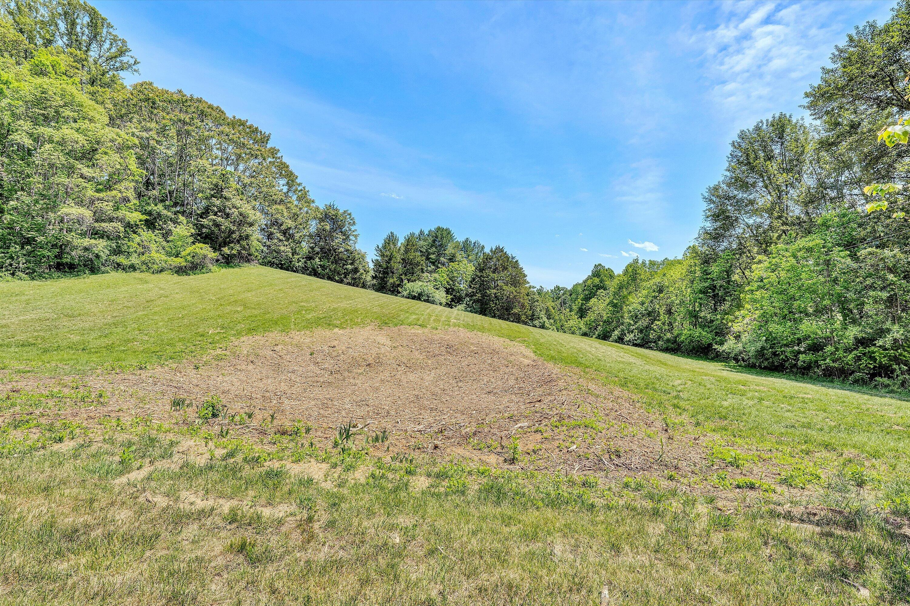 133 Kelsey Way Fincastle, VA 24090 - Photo 56 of 58 a view of outdoor space and yard