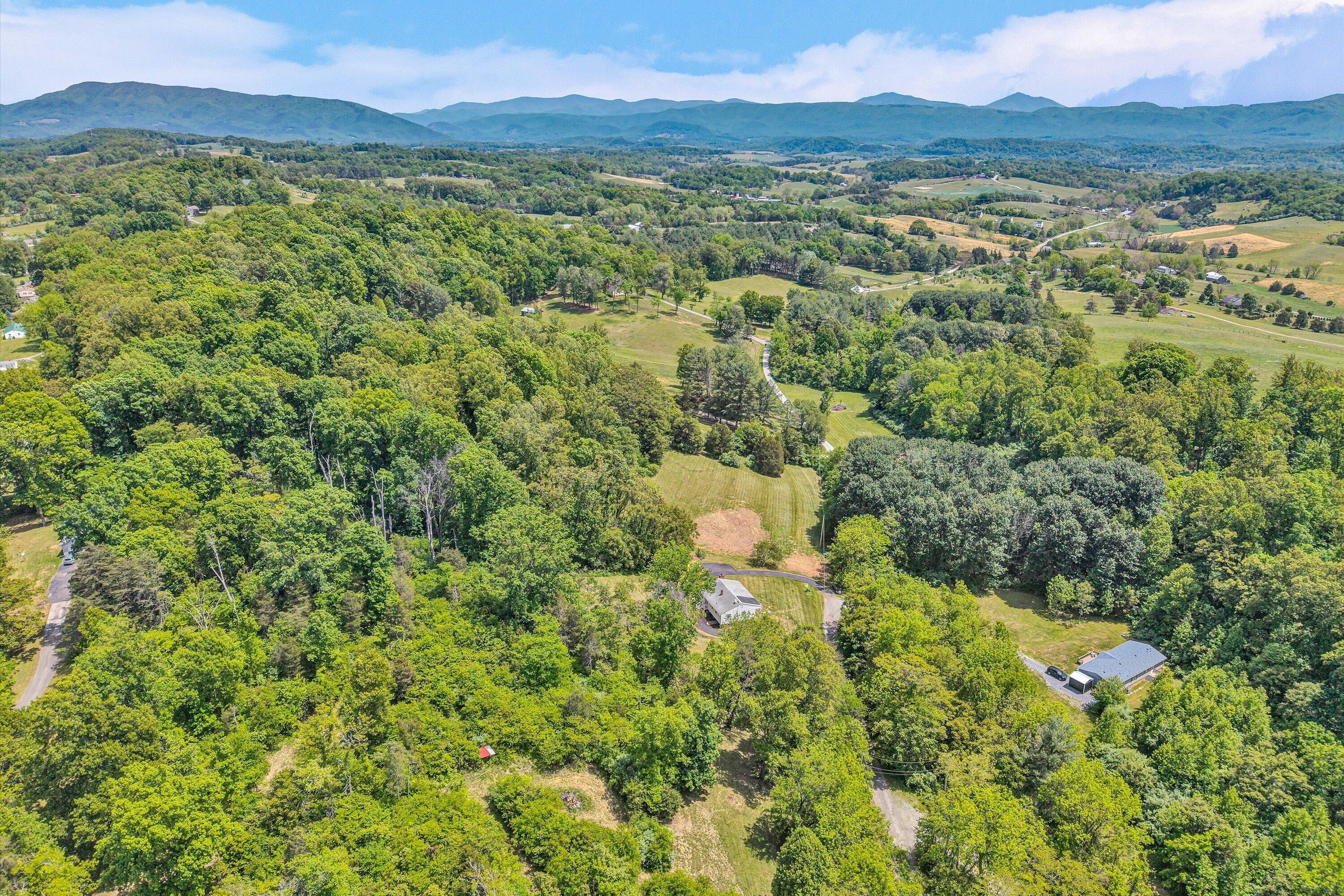 133 Kelsey Way Fincastle, VA 24090 - Photo 7 of 58 a view of a lush green hillside and a houses