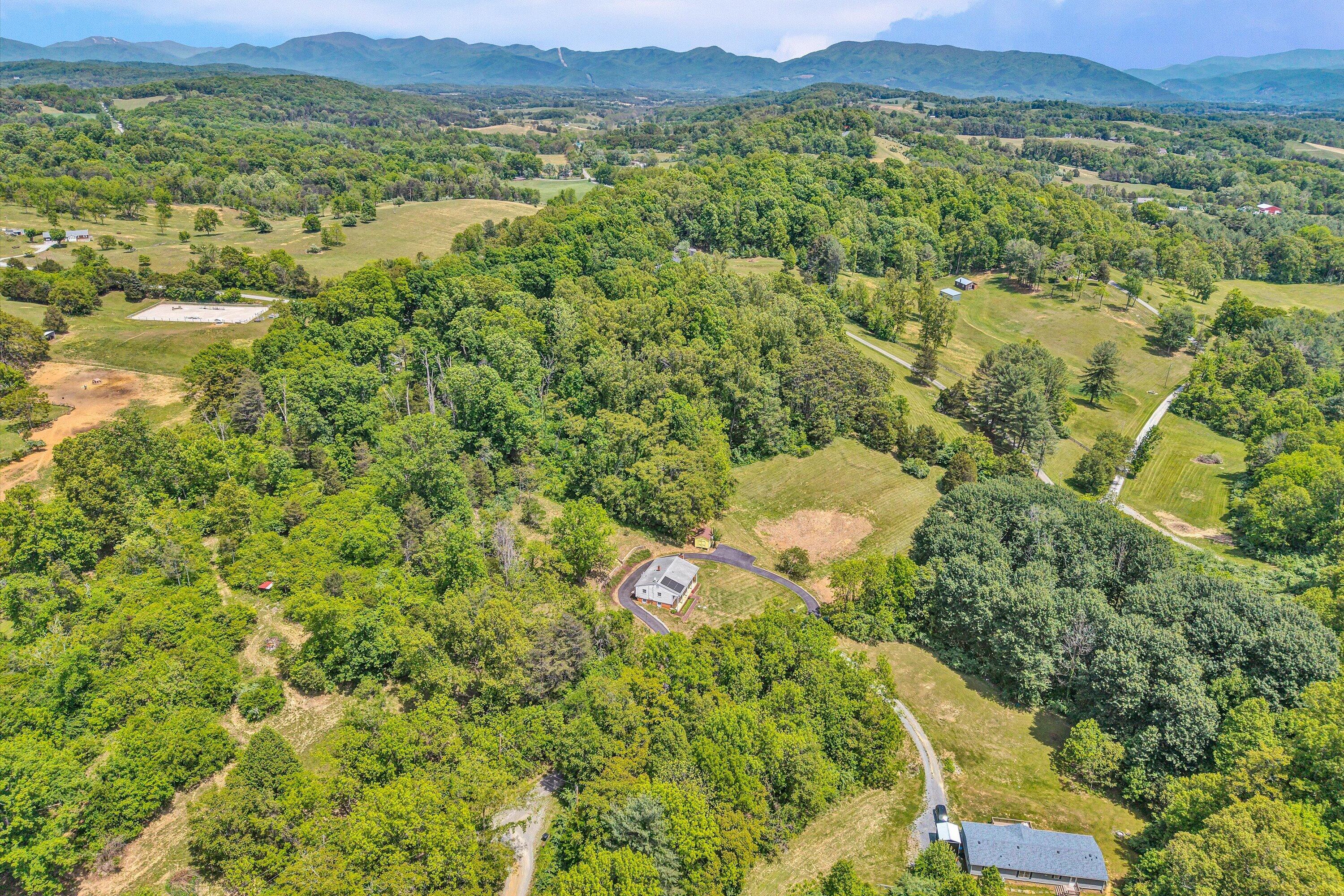 133 Kelsey Way Fincastle, VA 24090 - Photo 9 of 58 a view of a lush green field with mountains in the background