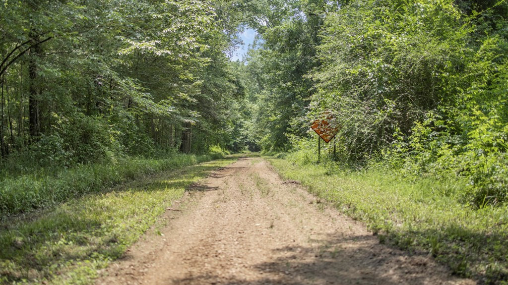 2167 Garden City Road Roxie, MS 39661 - Photo 11 of 42 Photo 11