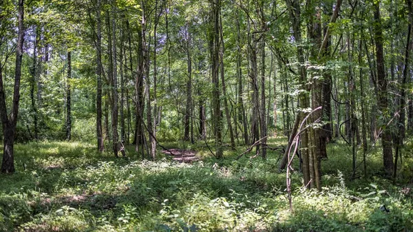 $1,350,000 | 2167 Garden City Road, Roxie, MS 39661