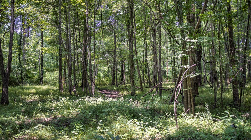 2167 Garden City Road Roxie, MS 39661 - Photo 12 of 42 Photo 12