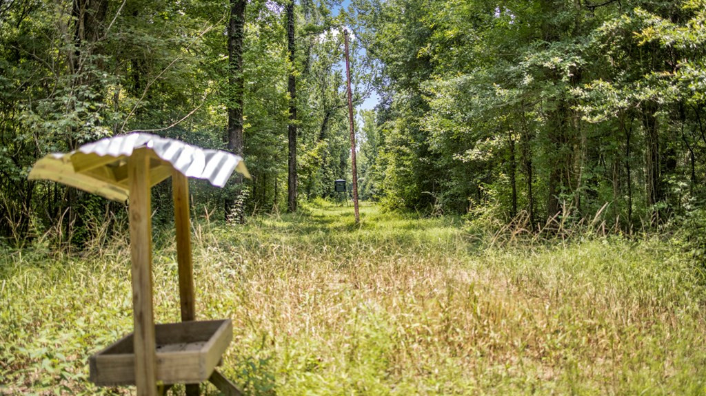 2167 Garden City Road Roxie, MS 39661 - Photo 13 of 42 Photo 13