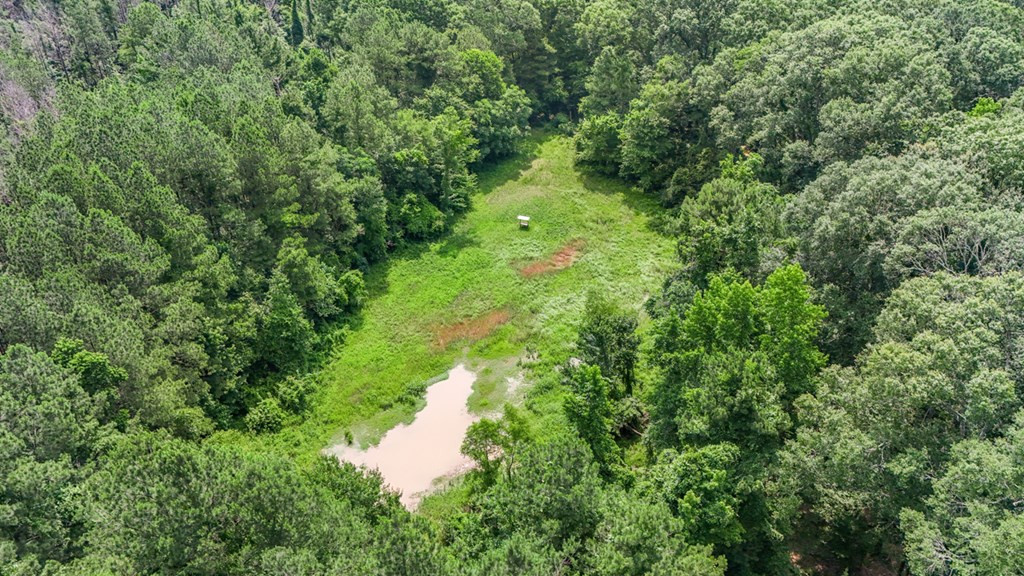 2167 Garden City Road Roxie, MS 39661 - Photo 24 of 42 Photo 24