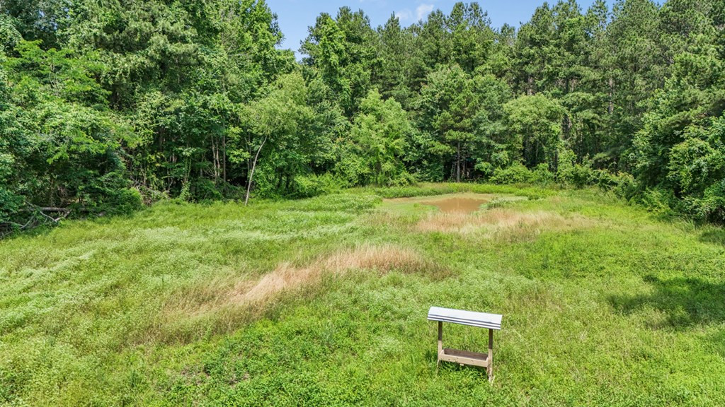 2167 Garden City Road Roxie, MS 39661 - Photo 25 of 42 Photo 25