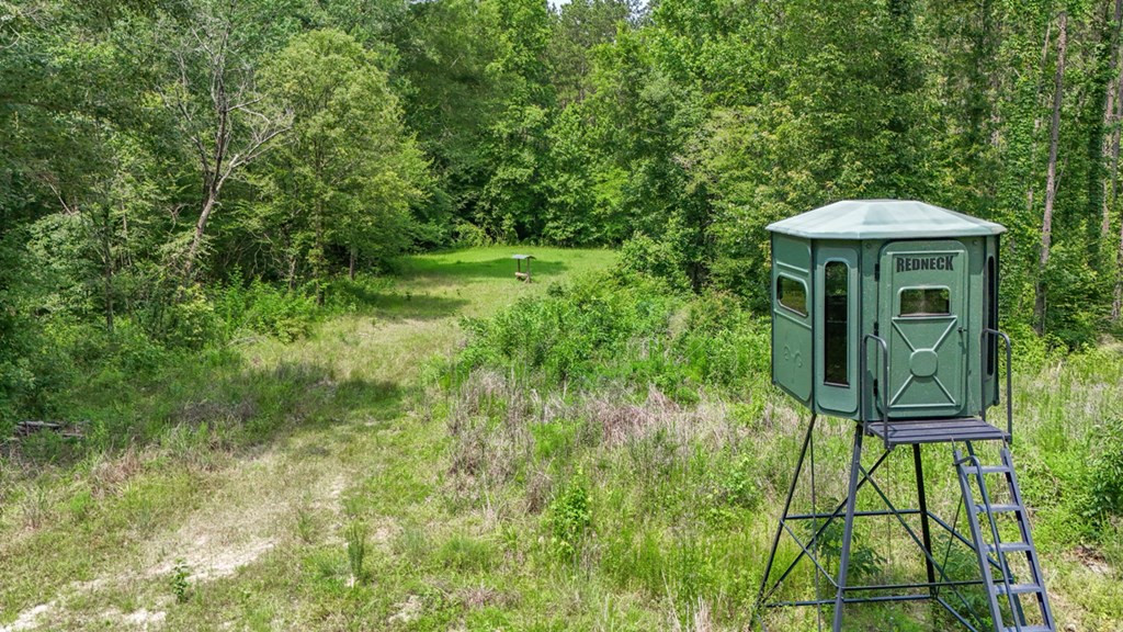 2167 Garden City Road Roxie, MS 39661 - Photo 26 of 42 Photo 27