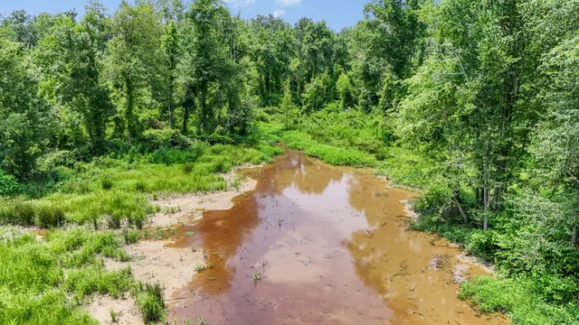 $1,350,000 | 2167 Garden City Road, Roxie, MS 39661