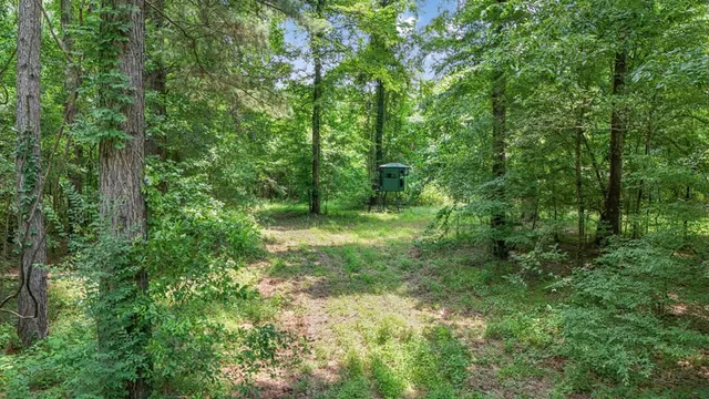 $1,350,000 | 2167 Garden City Road, Roxie, MS 39661