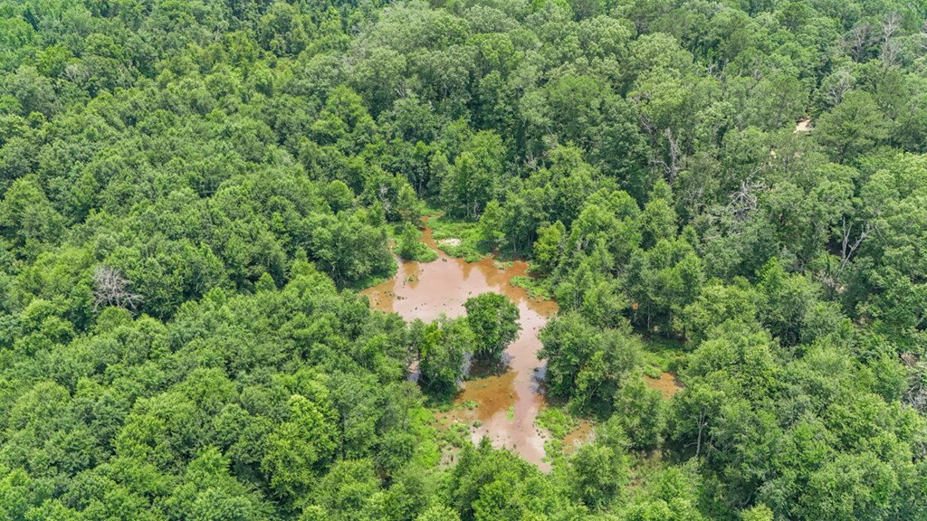 2167 Garden City Road Roxie, MS 39661 - Photo 35 of 42 Photo 36