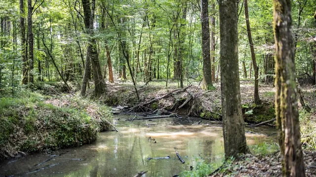 $1,350,000 | 2167 Garden City Road, Roxie, MS 39661