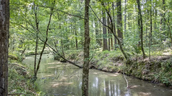 $1,350,000 | 2167 Garden City Road, Roxie, MS 39661