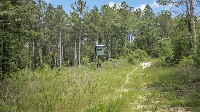 $1,350,000 | 2167 Garden City Road, Roxie, MS 39661