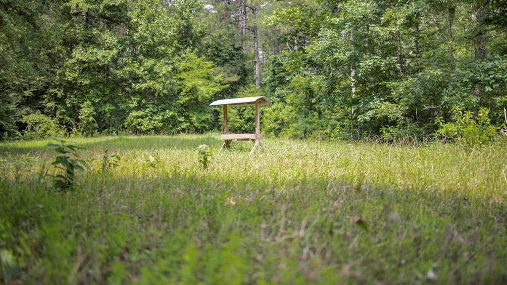 2167 Garden City Road Roxie, MS 39661 - Photo 8 of 42 Photo 8