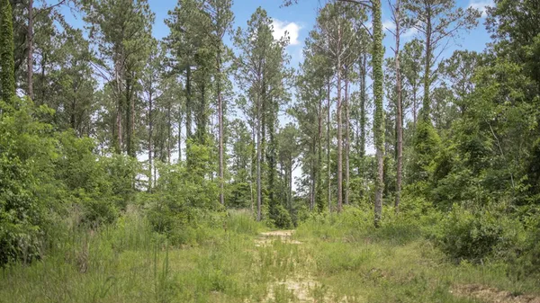 $1,350,000 | 2167 Garden City Road, Roxie, MS 39661