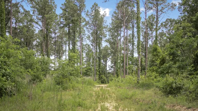 $1,350,000 | 2167 Garden City Road, Roxie, MS 39661