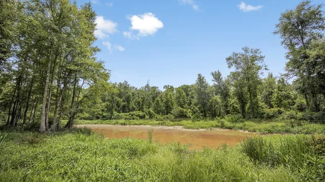 $1,350,000 | 2167 Garden City Road, Roxie, MS 39661