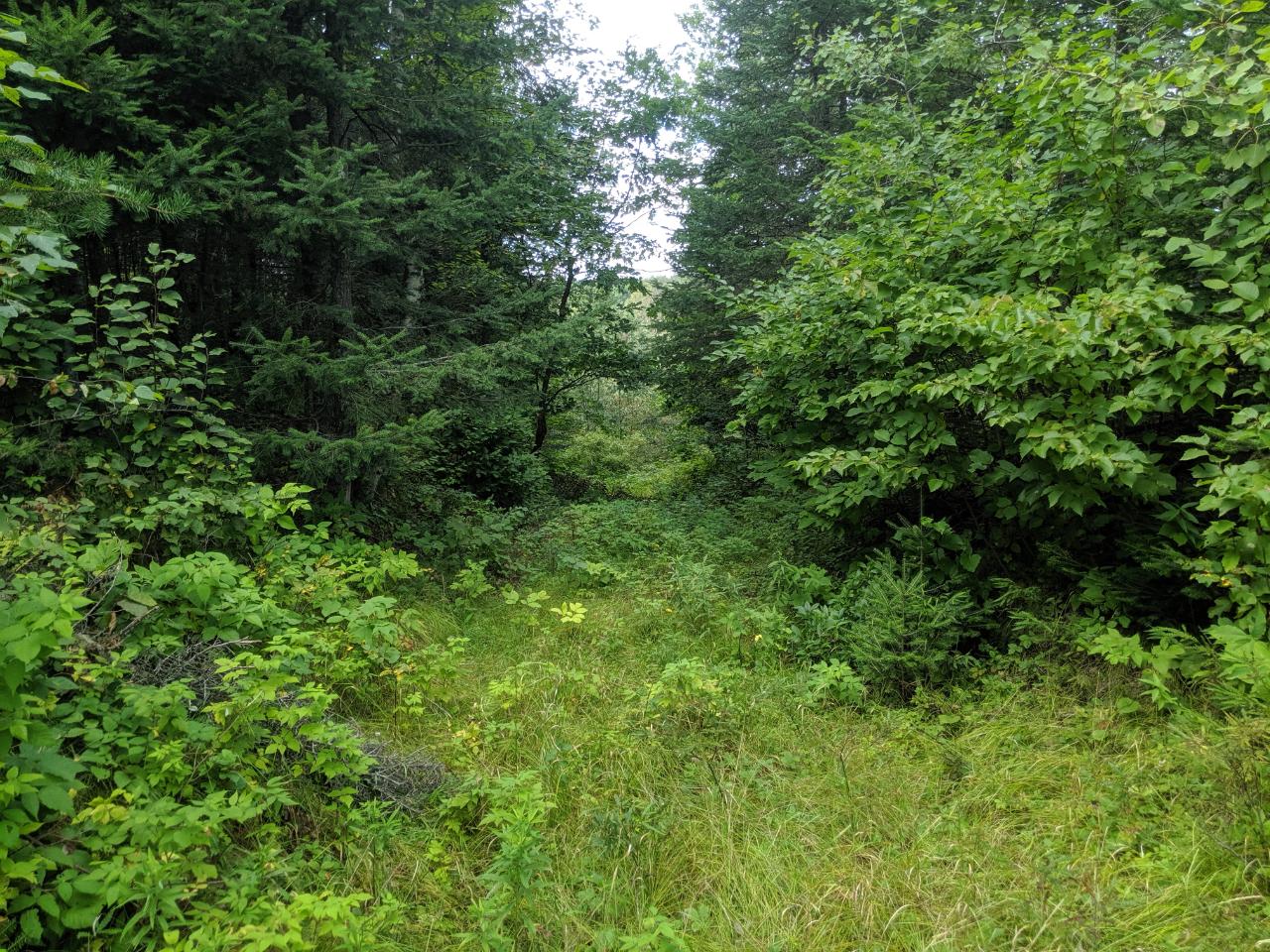W6020 Big Elk Road Phillips, WI 54555 - Photo 20 of 29 Gallery Image 20