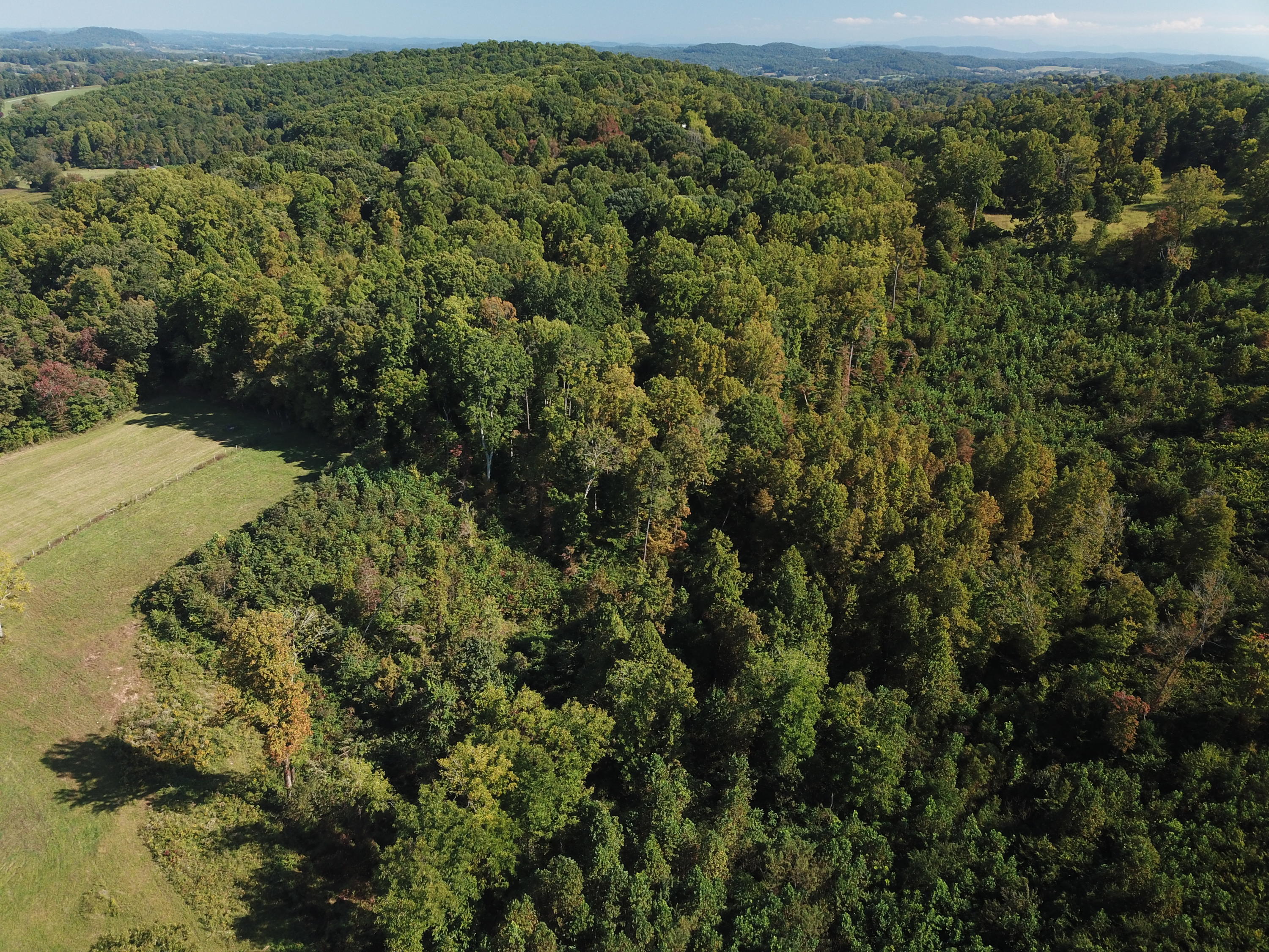 New Corinth Road Blaine, TN 37709 - Photo 2 of 7 DJI_0021