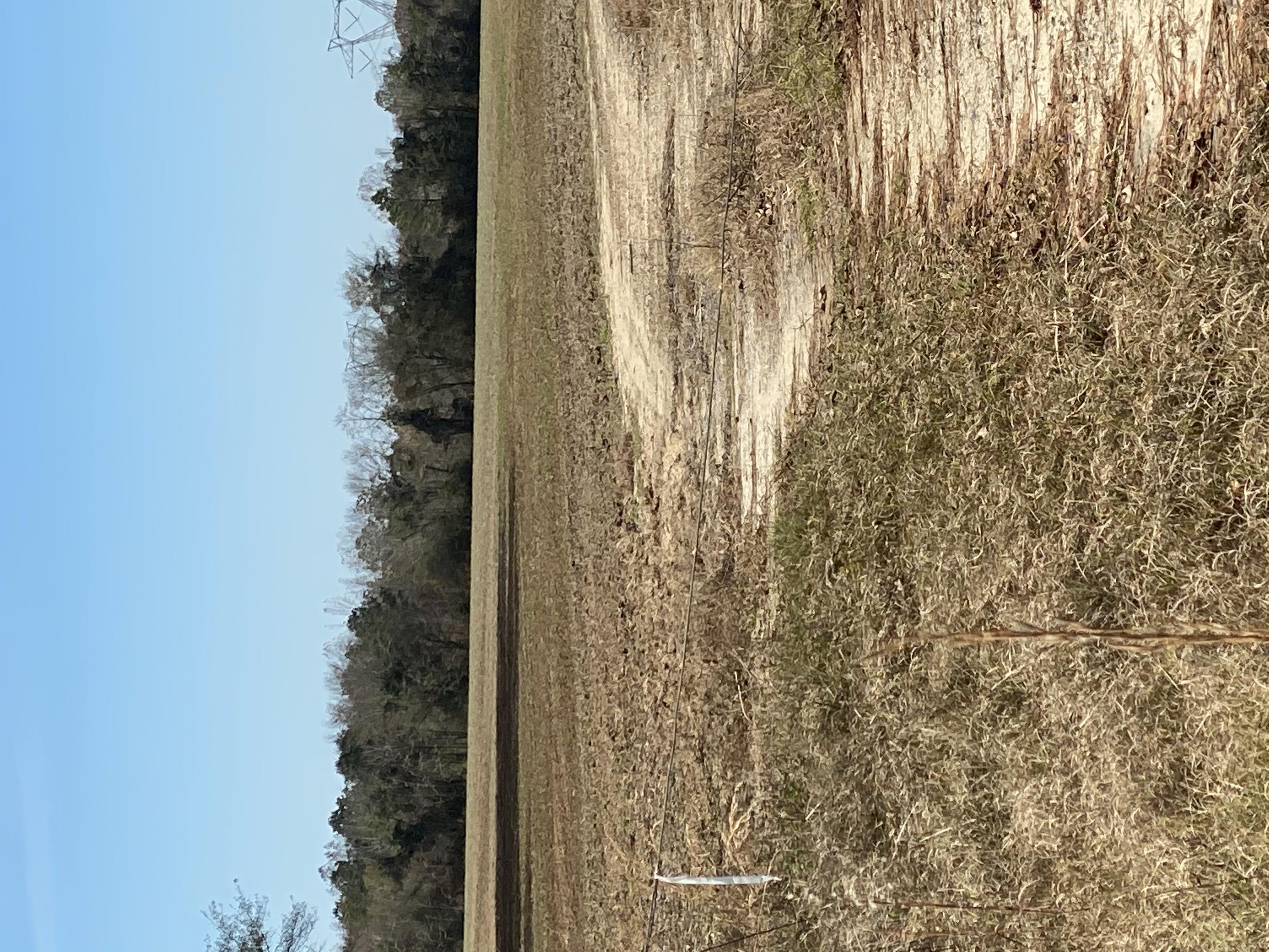 1 South Rockingham Nc 28379 Rockingham, NC 28379 - Photo 1 of 1 front