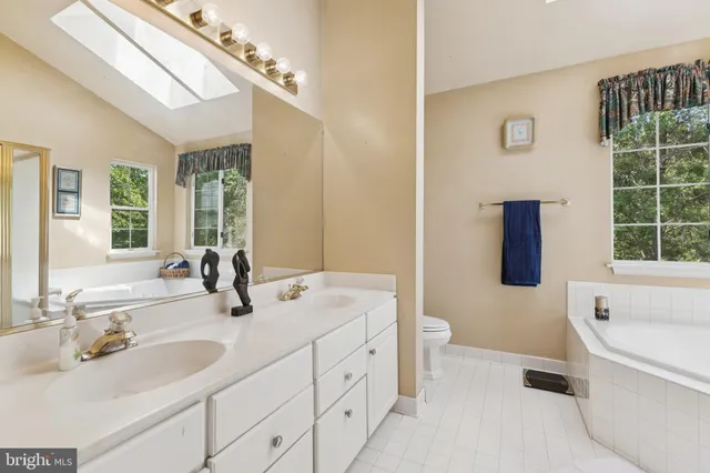 a bathroom with a double vanity sink a large mirror and a bathtub