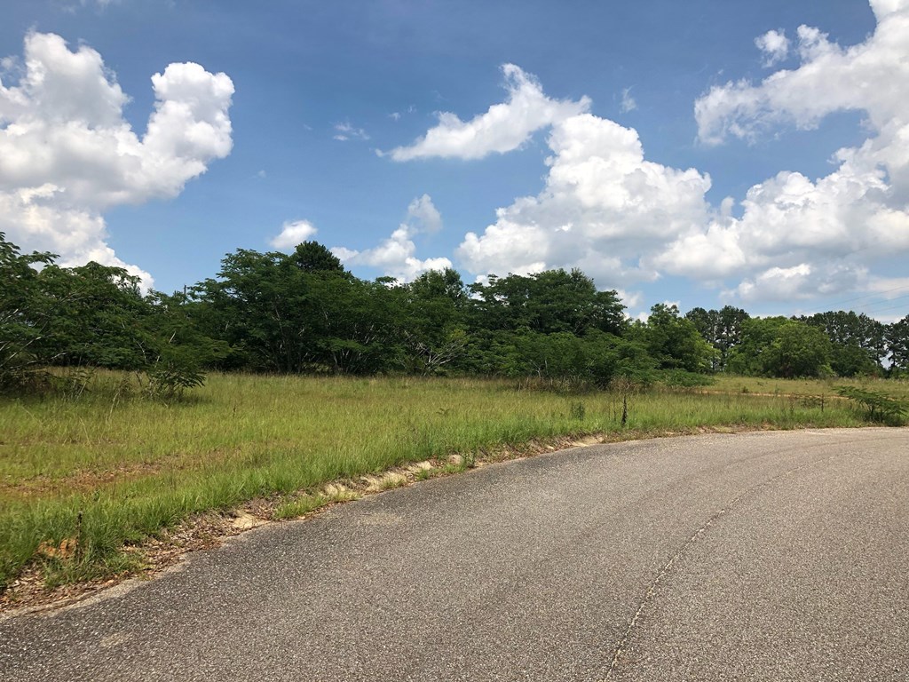 Lot 26 Ridge Drive Headland, AL 36345 - Photo 3 of 3