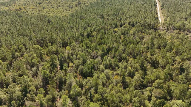 $75,000 | 0 Cross Country Boulevard, Unit 70, Marianna, FL 32446